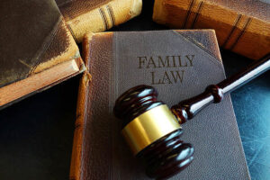 family law book picture