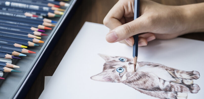 Drawing Animals    How to Draw Animals – eHow.com