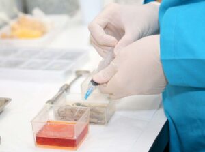 researcher testing vaccine in a petri dish in a medical lab